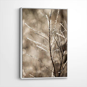 framed-canvas-white
