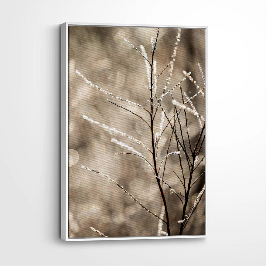 framed-canvas-white