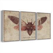 3-framed-canvas-white