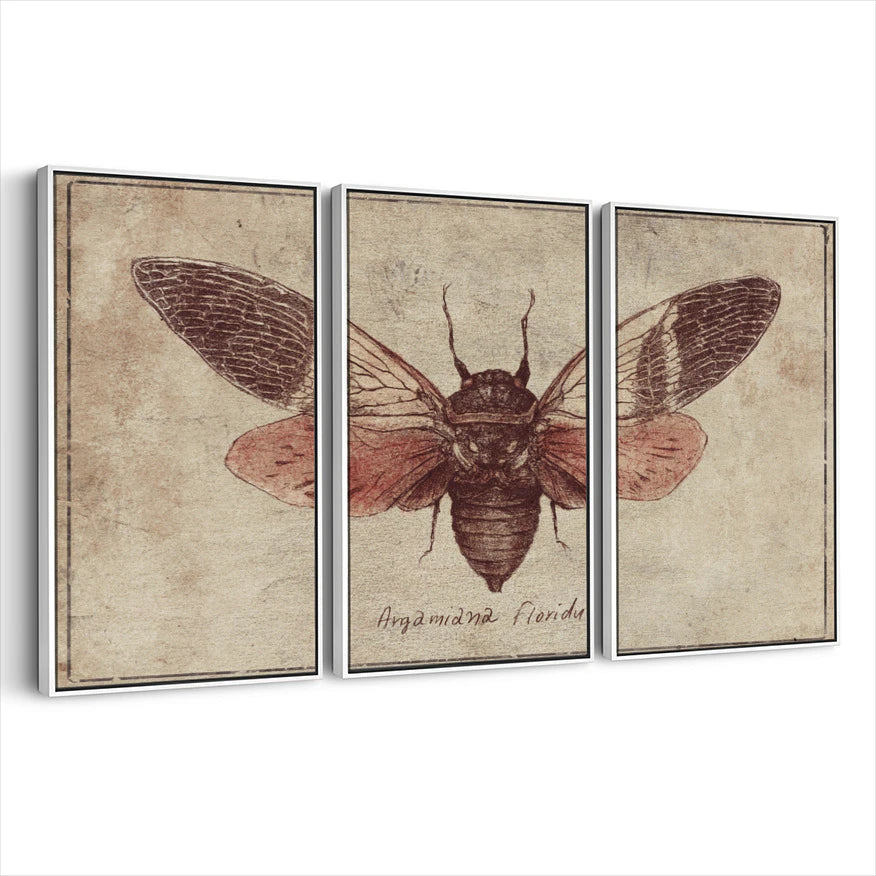 3-framed-canvas-white