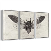 3-framed-print-white