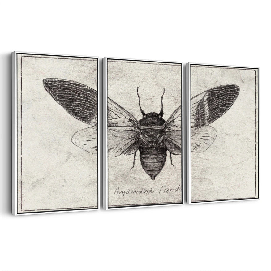 3-framed-print-white