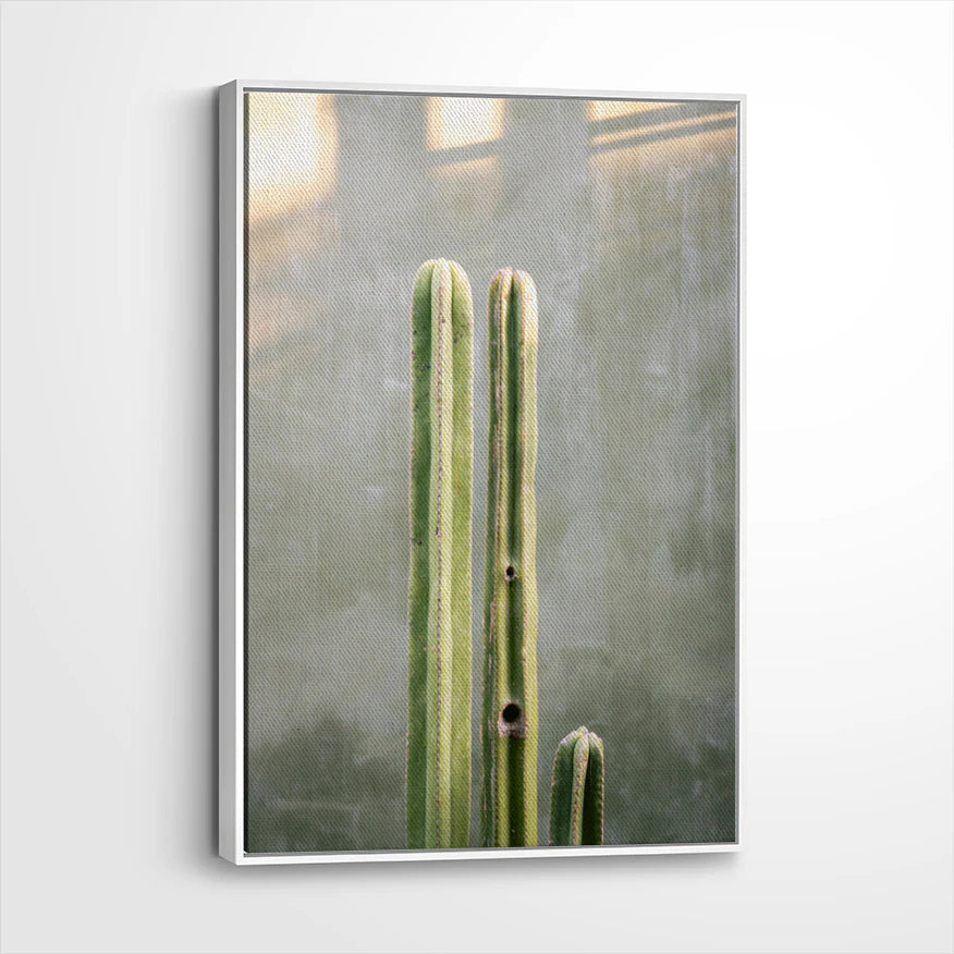 framed-canvas-white