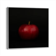 framed-canvas-white