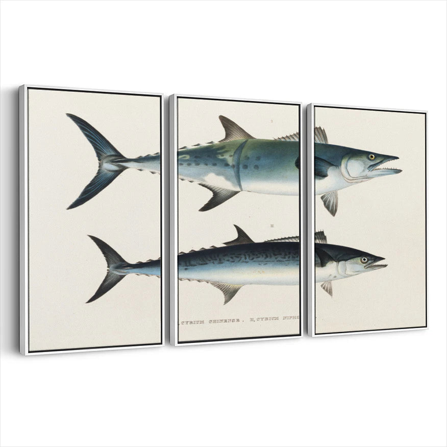 3-framed-print-white