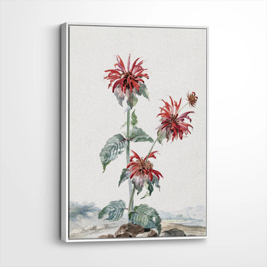framed-canvas-white