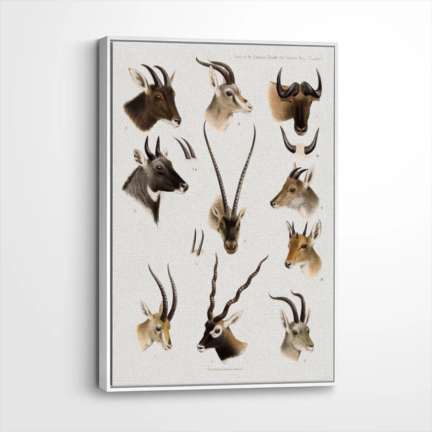 framed-canvas-white