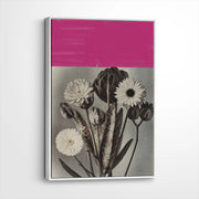 framed-canvas-white