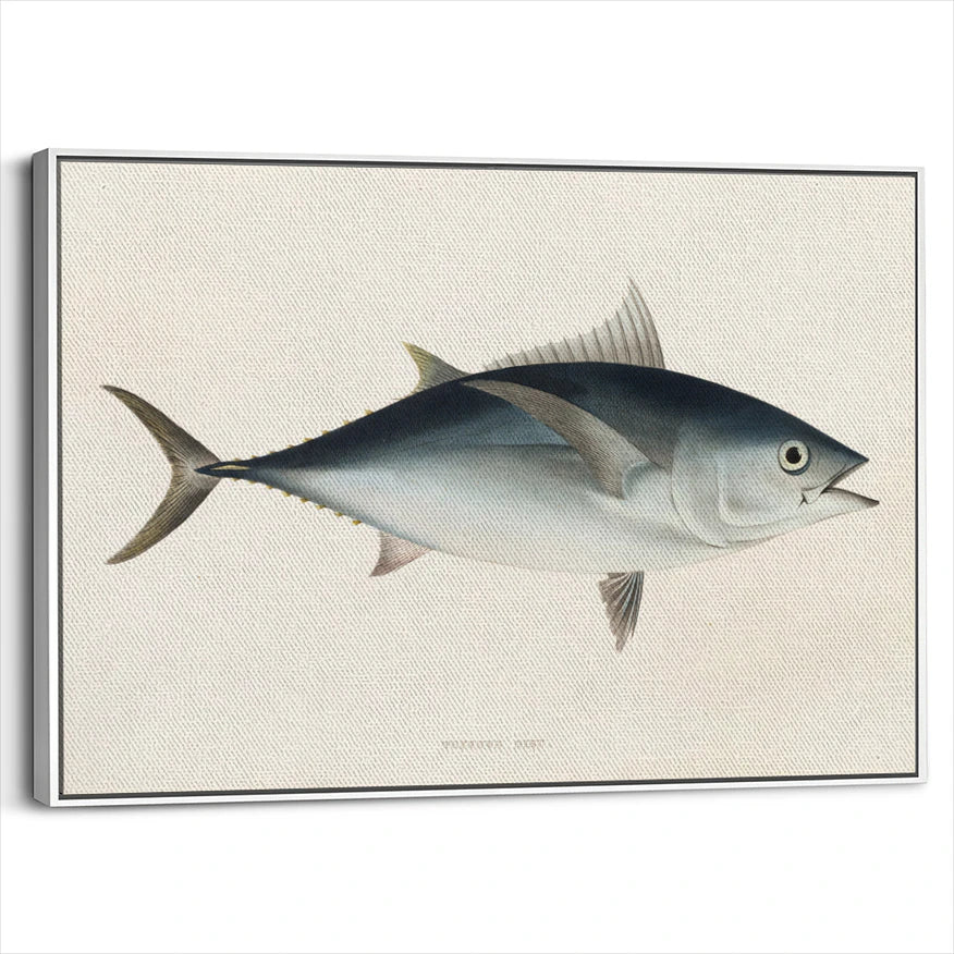 framed-canvas-white