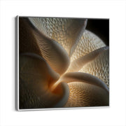 framed-canvas-white