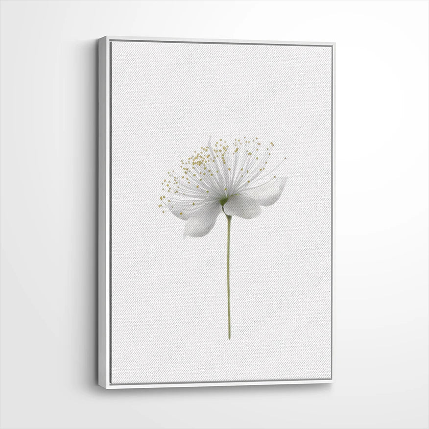 framed-canvas-white