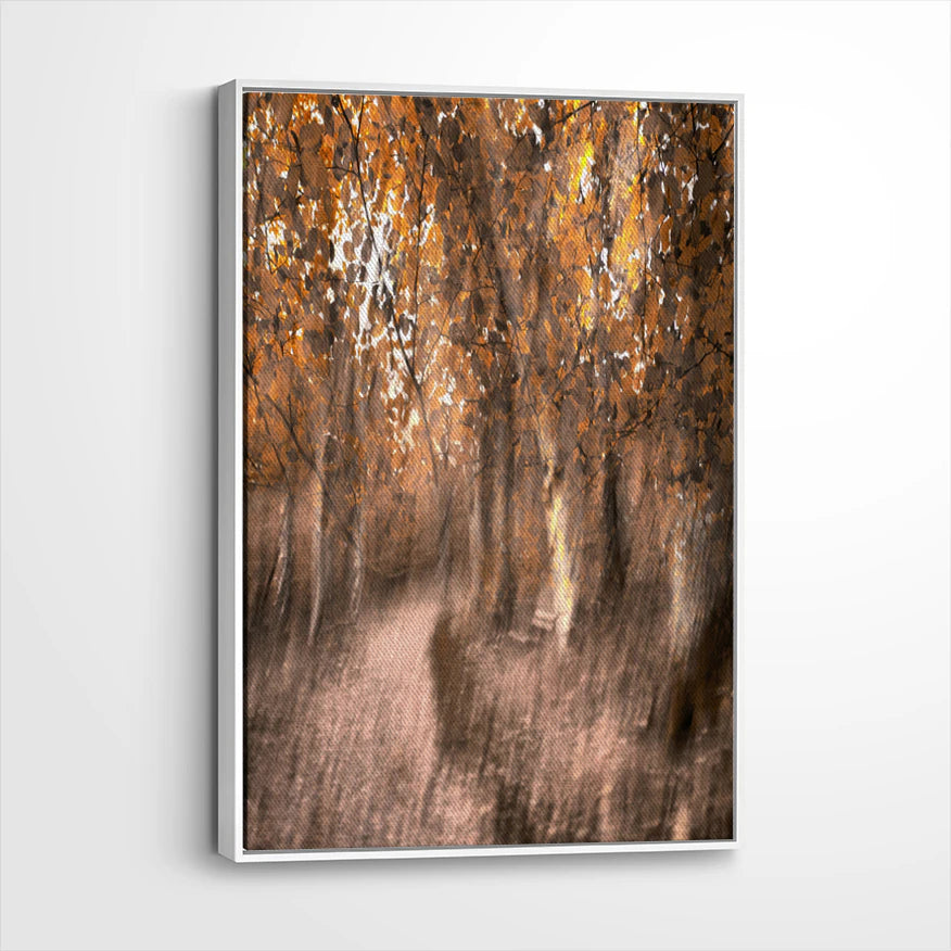 framed-canvas-white