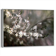 framed-canvas-white