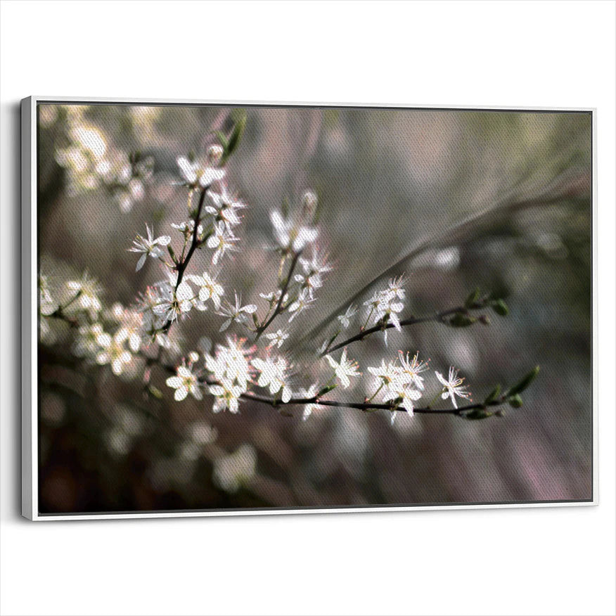 framed-canvas-white