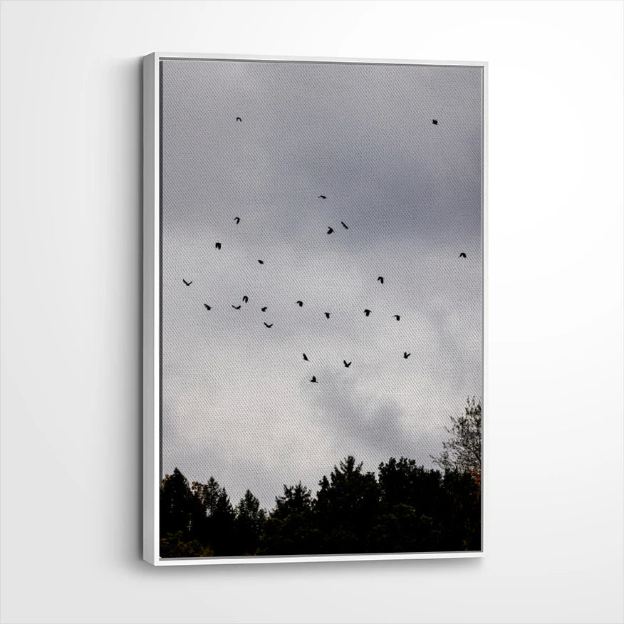 framed-canvas-white
