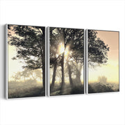 3-framed-canvas-white