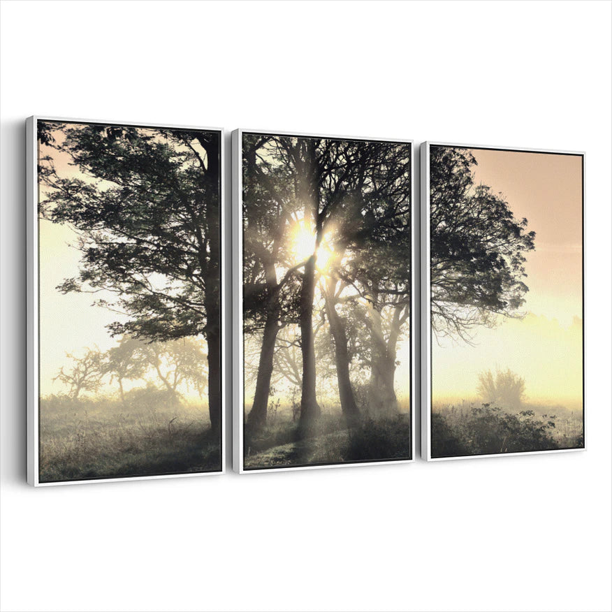 3-framed-canvas-white