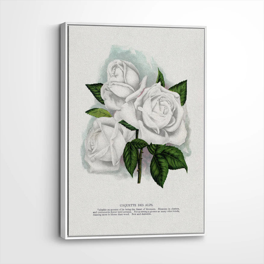 framed-canvas-white