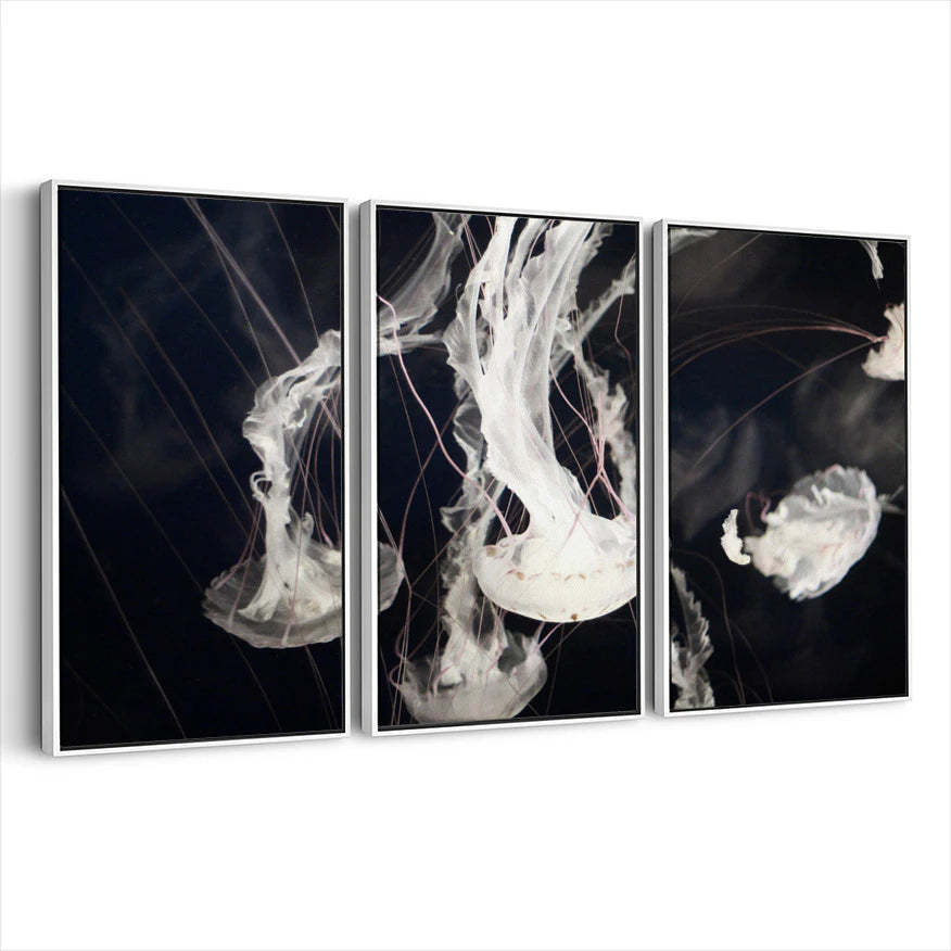 3-framed-canvas-white