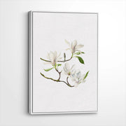 framed-canvas-white
