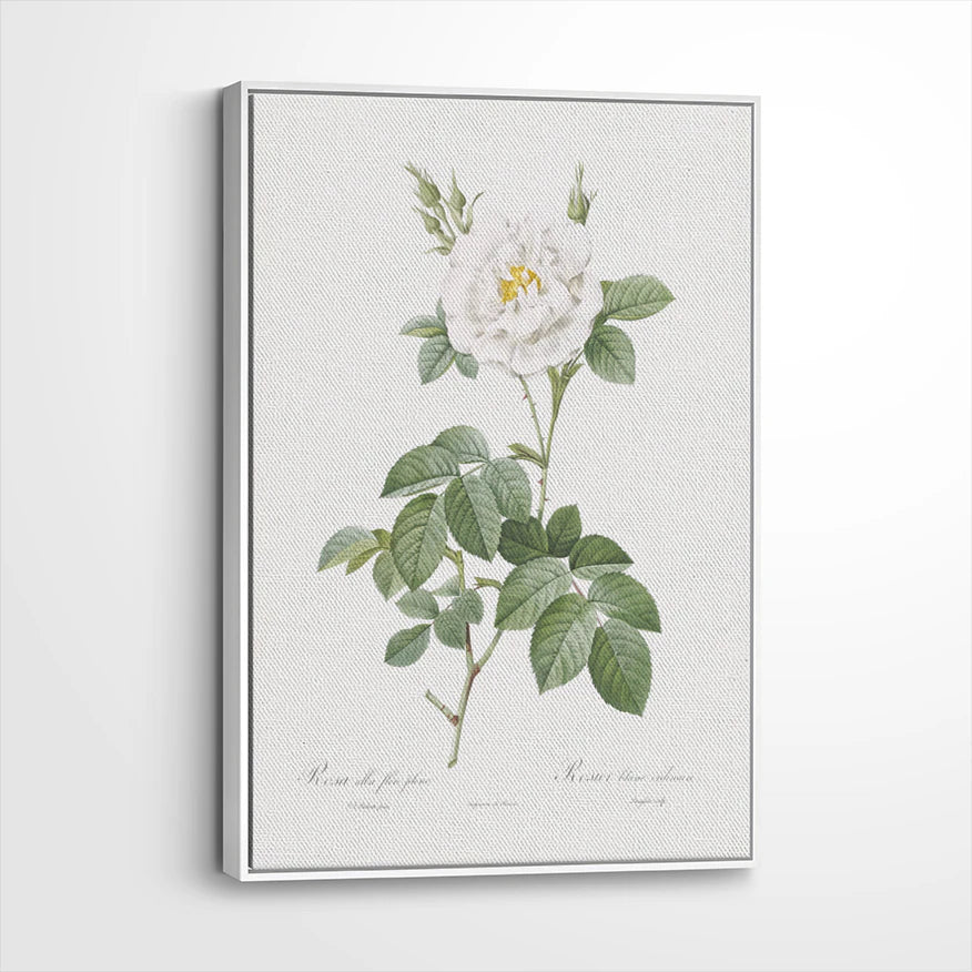 framed-canvas-white