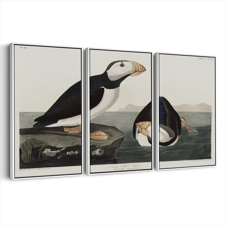 3-framed-canvas-white