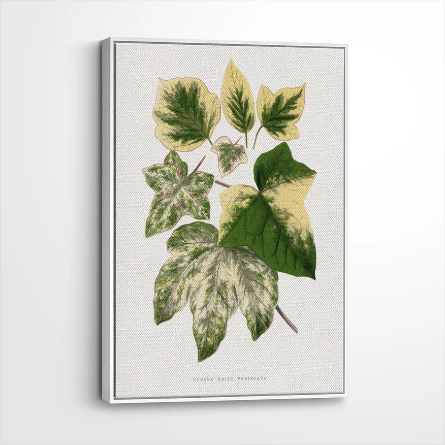 framed-canvas-white