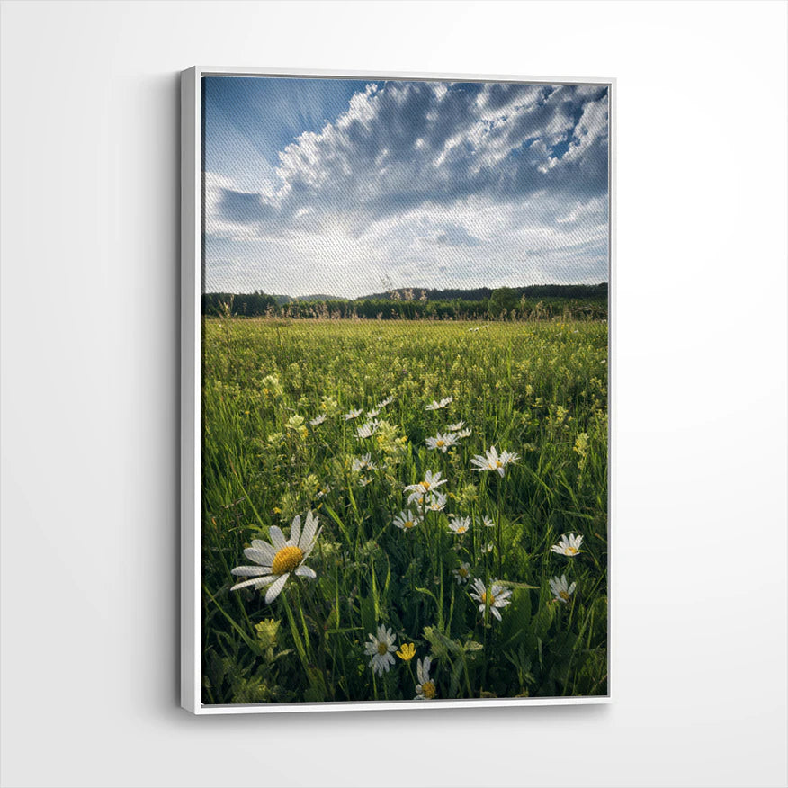 framed-canvas-white