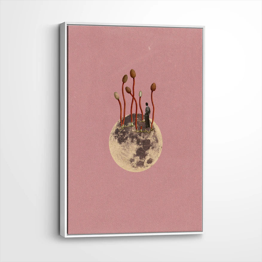 framed-canvas-white