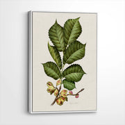 framed-canvas-white
