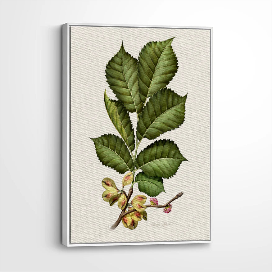 framed-canvas-white