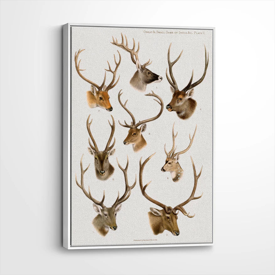 framed-canvas-white