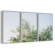 3-framed-canvas-white