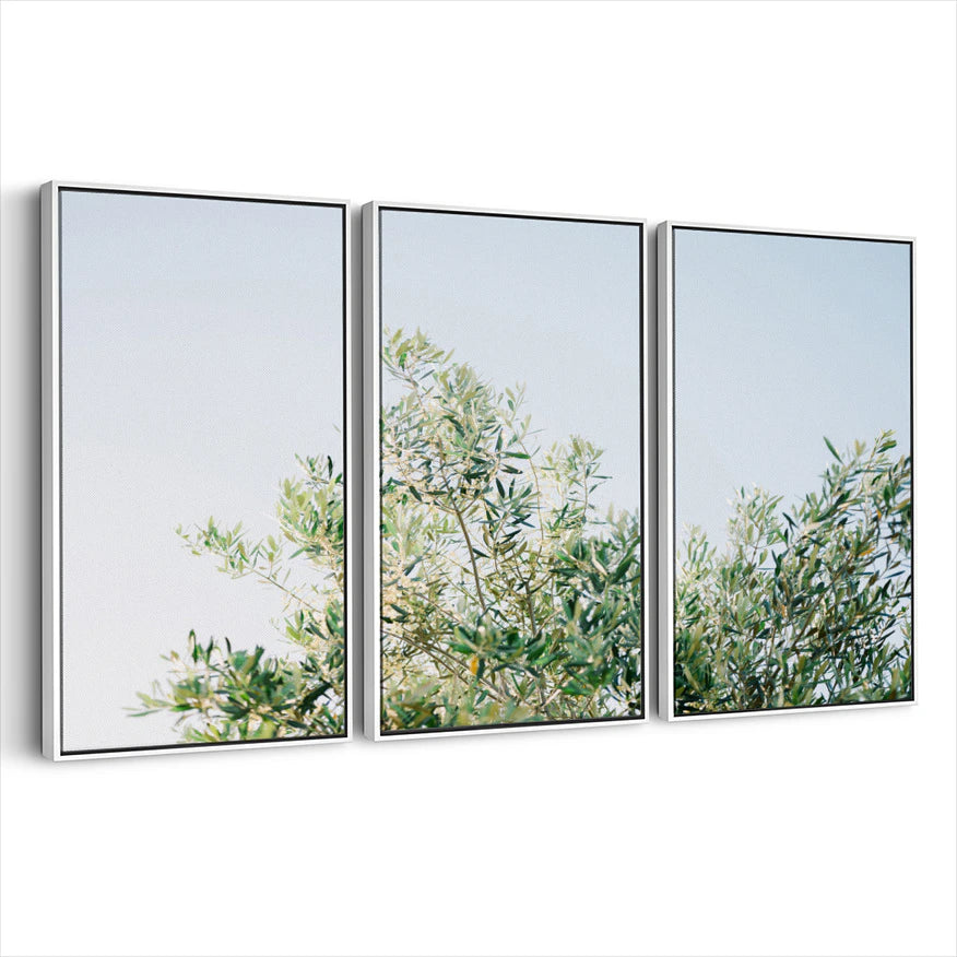 3-framed-canvas-white