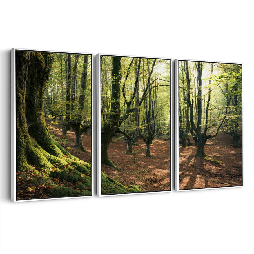 3-framed-canvas-white