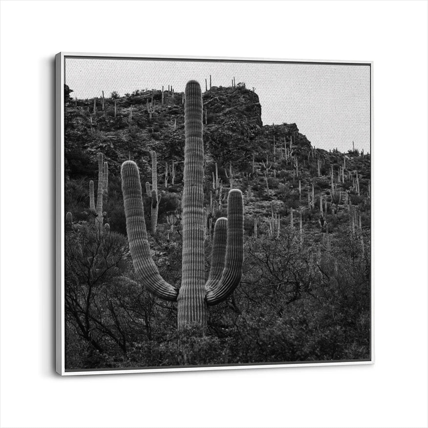 framed-canvas-white