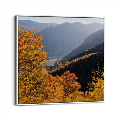 framed-canvas-white