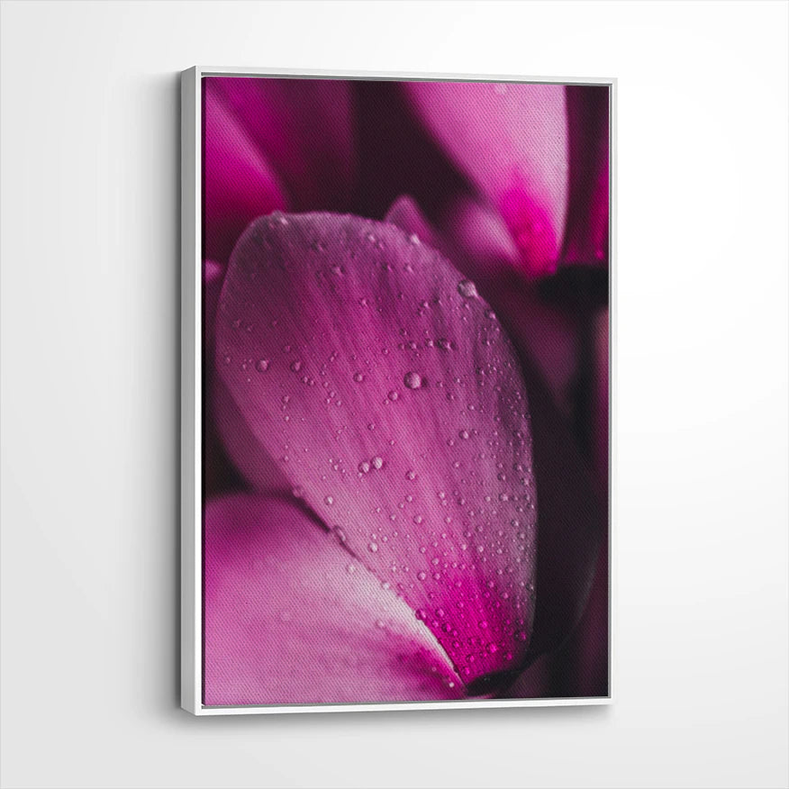 framed-canvas-white