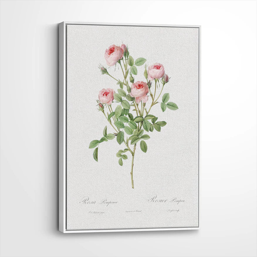 framed-canvas-white