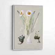 framed-canvas-white