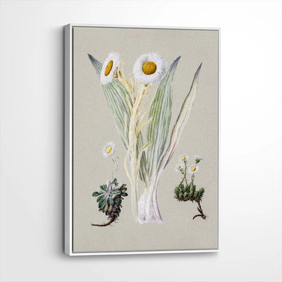 framed-canvas-white