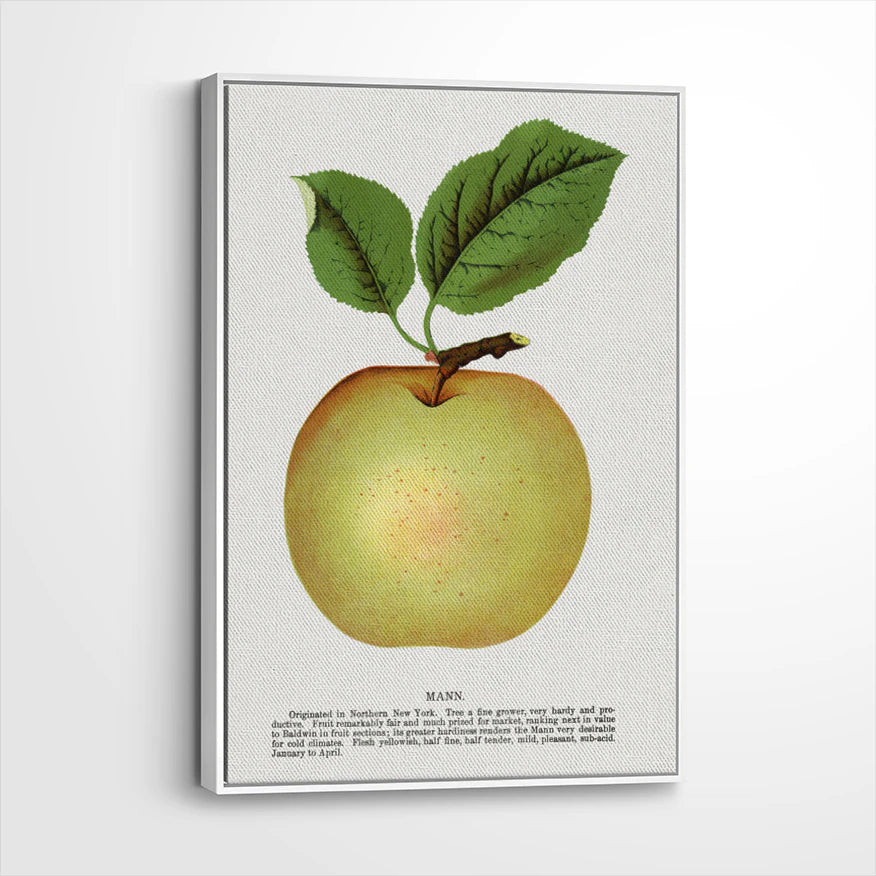 framed-canvas-white