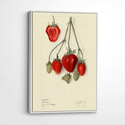 framed-canvas-white