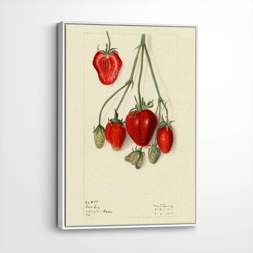 framed-canvas-white