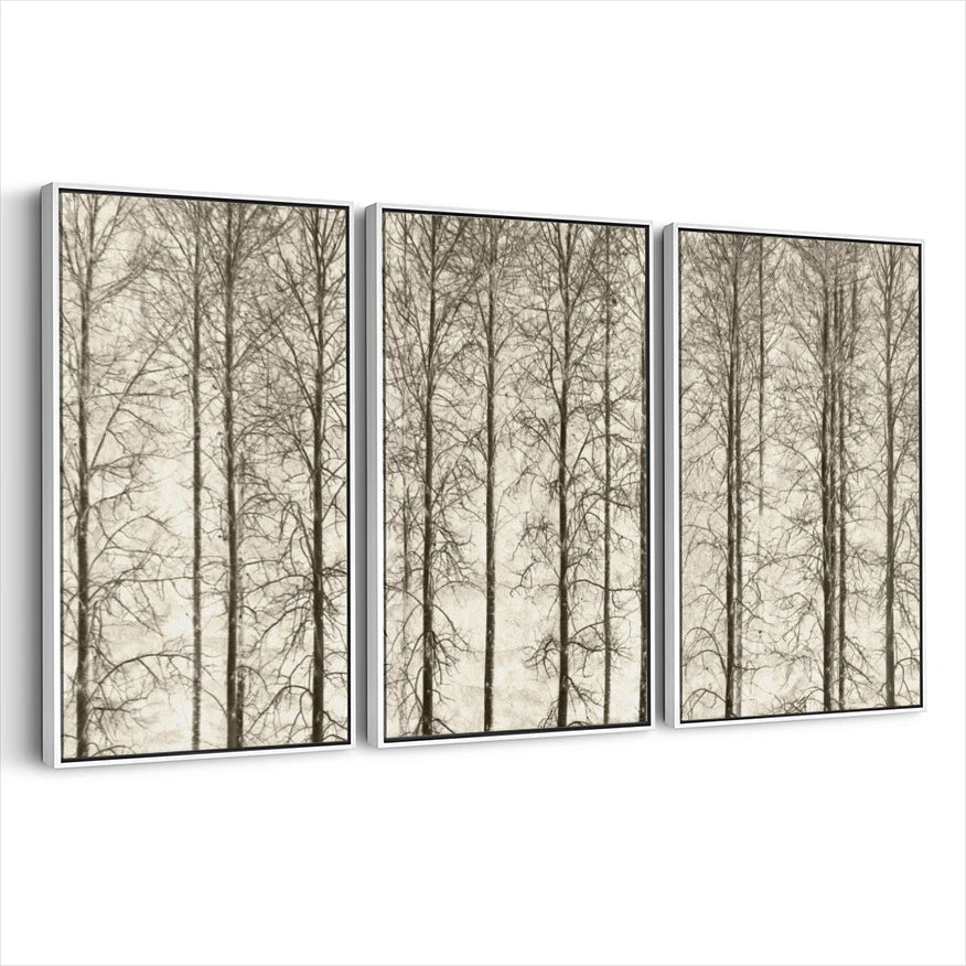 3-framed-canvas-white