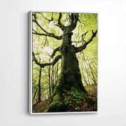 framed-canvas-white