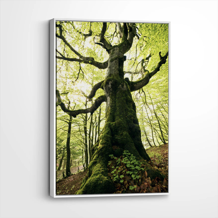 framed-canvas-white