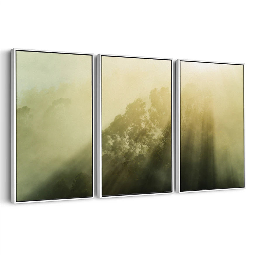 3-framed-canvas-white