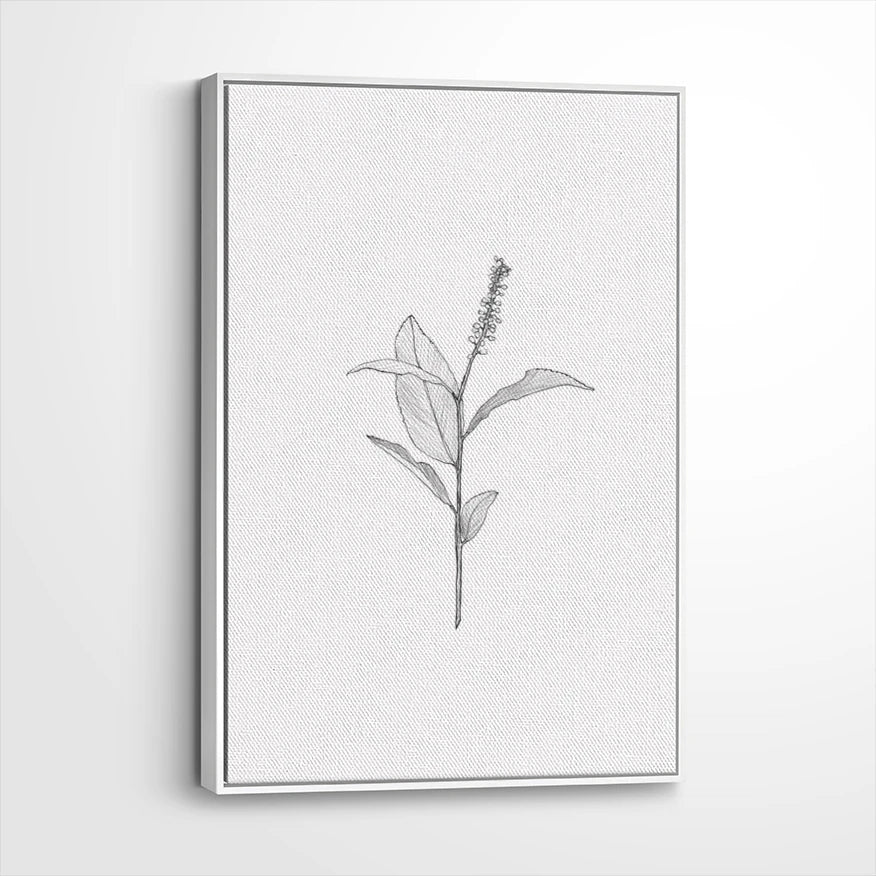 framed-canvas-white