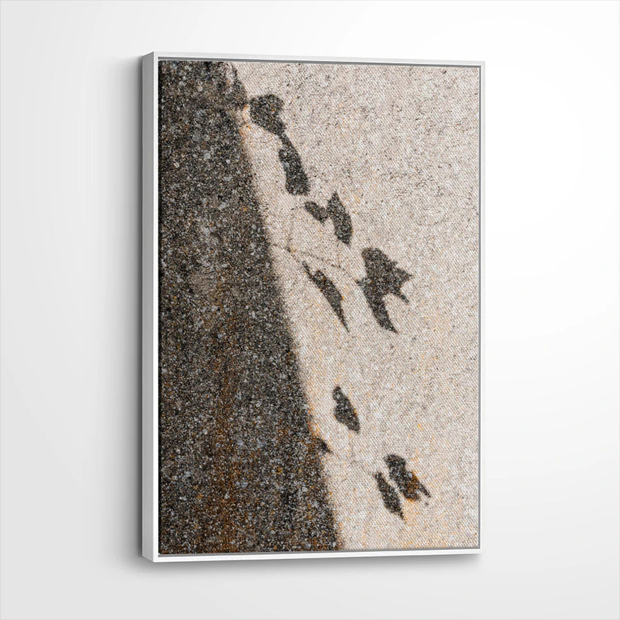 framed-canvas-white